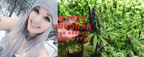шишки Абинск