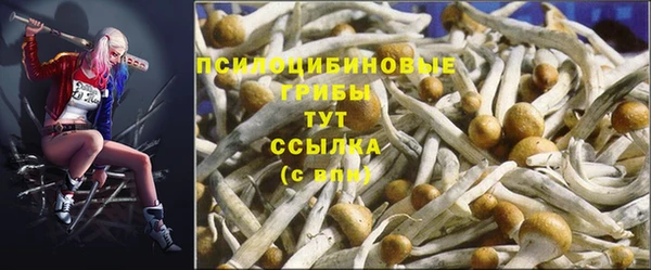индика Абдулино