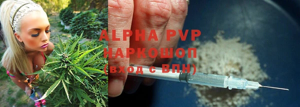 индика Абдулино