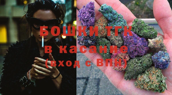 индика Абдулино